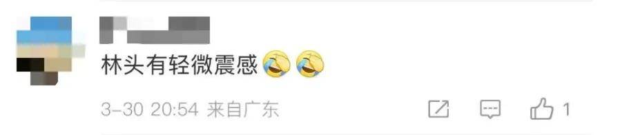 3月30 - 31日：汤加与我国多地地震频发，地球震动模式开启？
